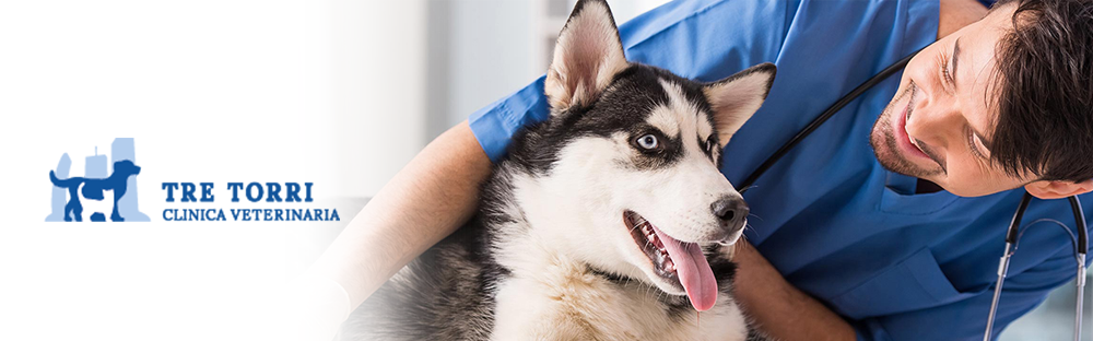 Clinica Veterinaria Tre Torri