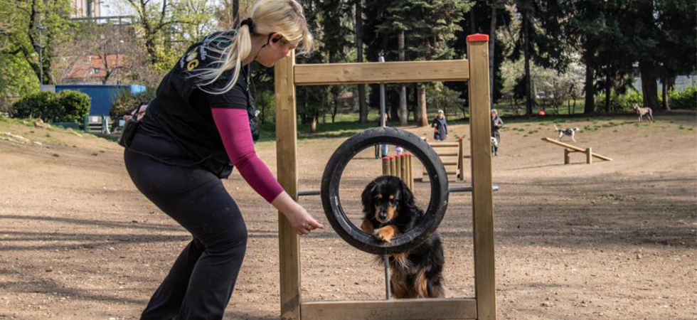 mobility dog park a Milano