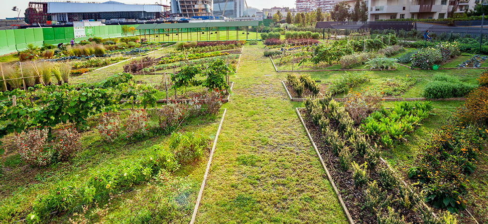 citylife urban garden