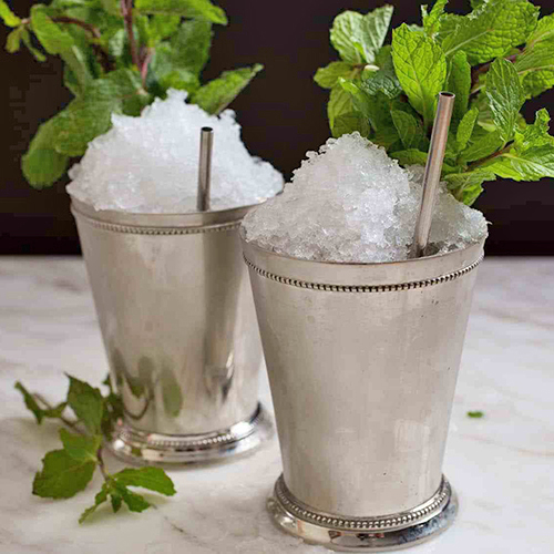Cocktail Mint Julep